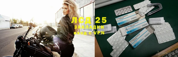 стафф Зерноград