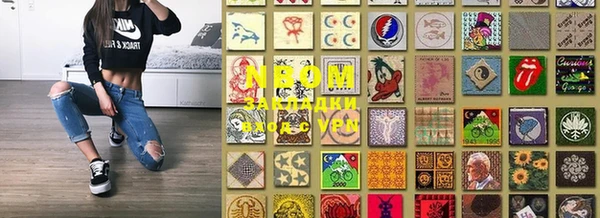 стафф Зерноград