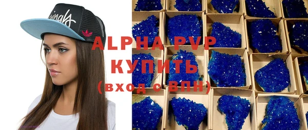 стафф Зерноград